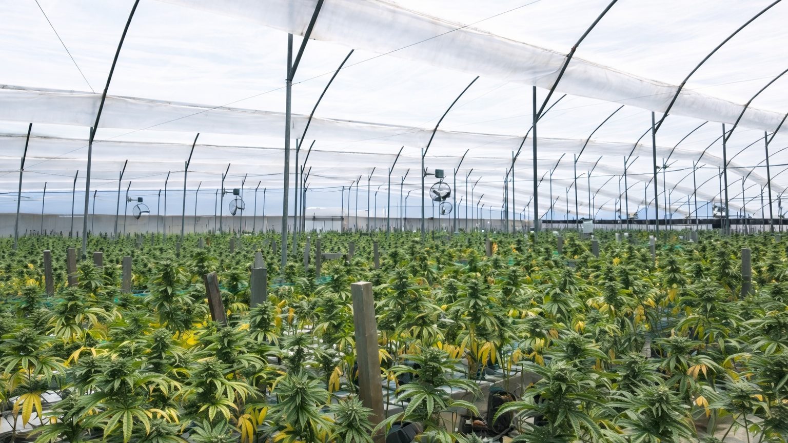 chatgpt image 4 mar 2026, 04 08 09 p.m.