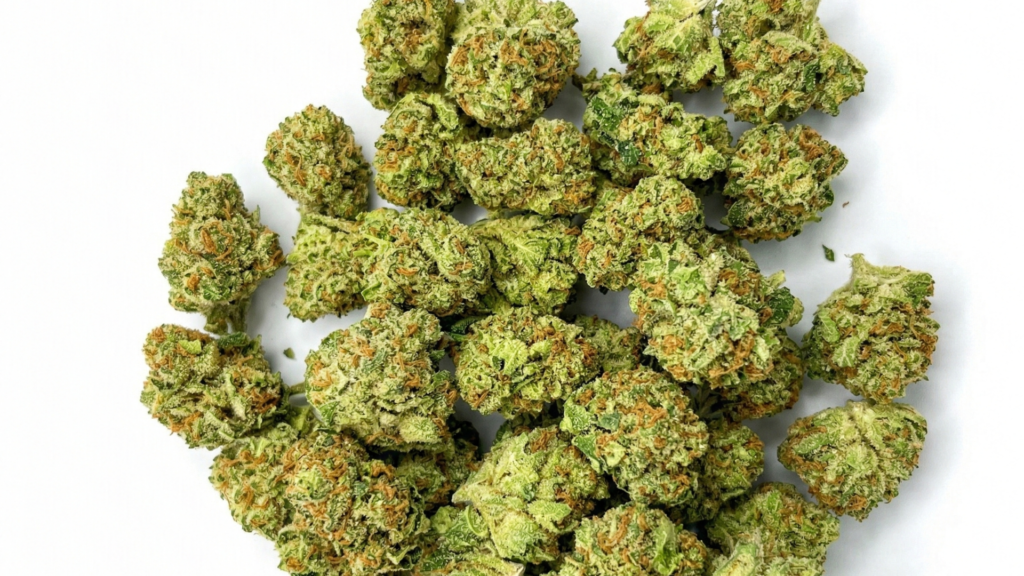 flor popcorn carrusel 4