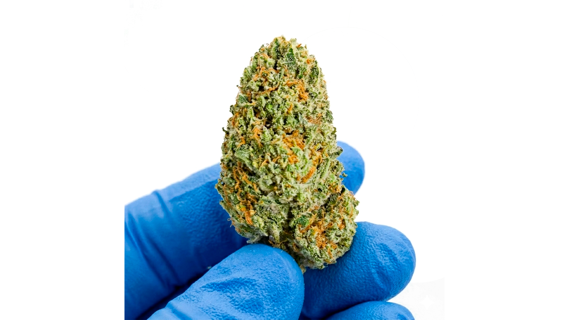 flor premiun carrusel 2