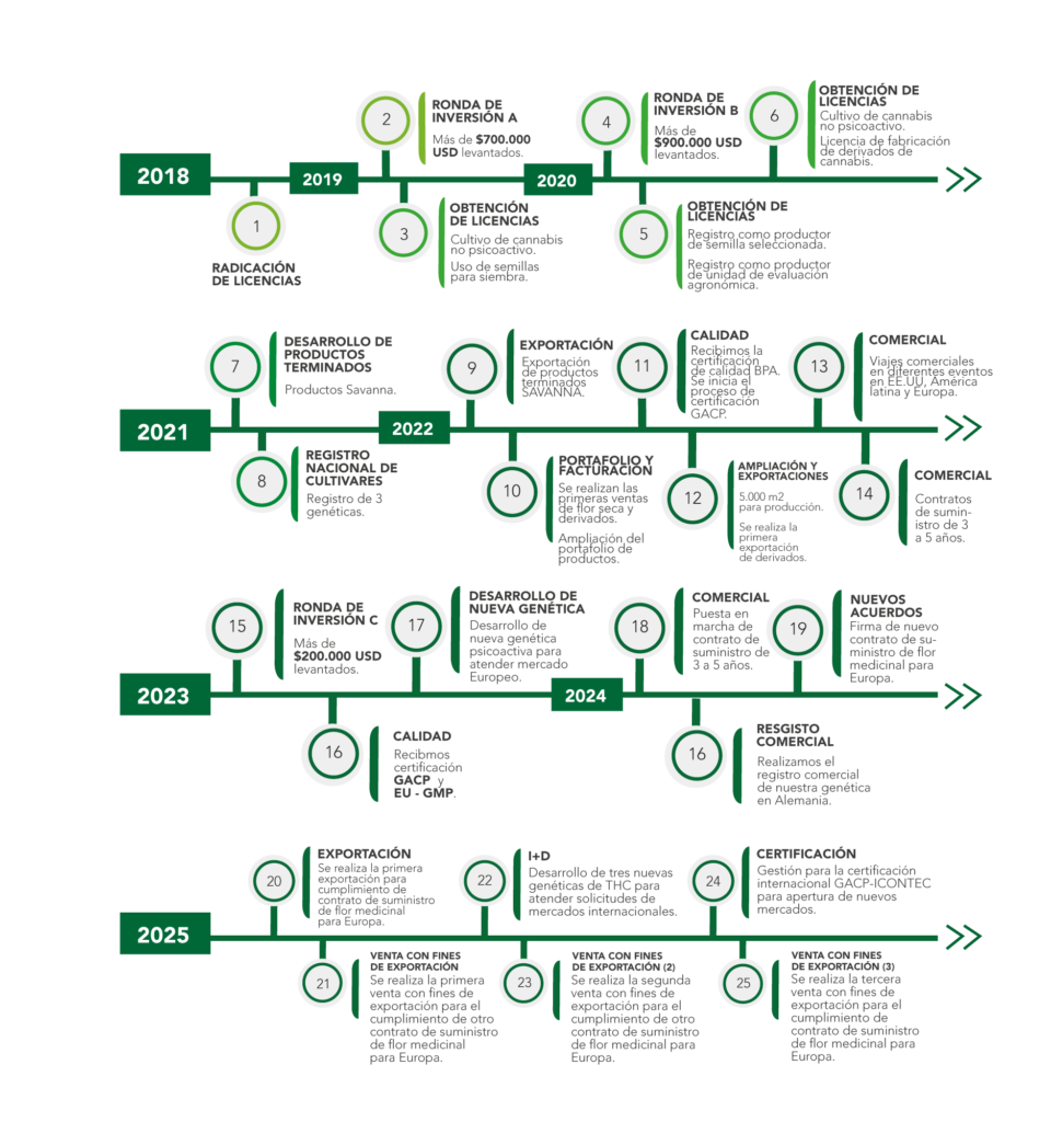 linea tiempo vectores cannadrop