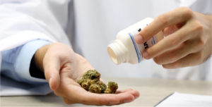 Medicinal cannabis could boost economic recovery after pandemic