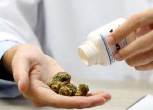 Medicinal cannabis could boost economic recovery after pandemic